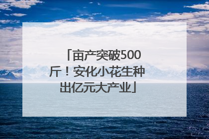 亩产突破500斤！安化小花生种出亿元大产业